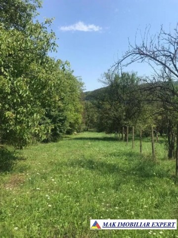 teren-intra-extravilan-4000-mp-in-apa-sarata-campulung-muscel
