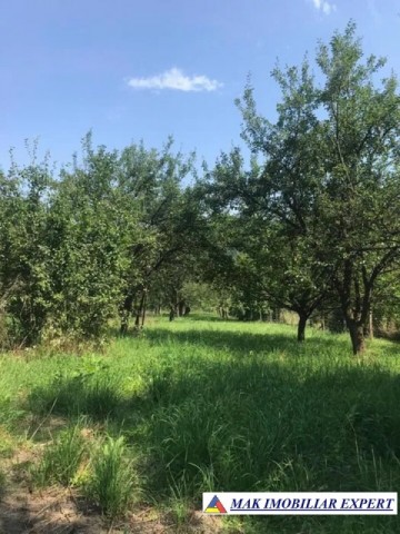 teren-intra-extravilan-4000-mp-in-apa-sarata-campulung-muscel-4