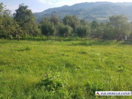 teren-intravilan-1200-mp-de-vanzare-in-corbi-arges-ideal-pentru-constructii-rezidentiale