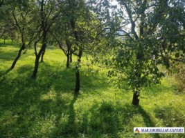 teren-intravilan-1200-mp-de-vanzare-in-corbi-arges-ideal-pentru-constructii-rezidentiale-8