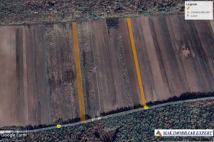 teren-extravilan-1-ha-de-vanzare-in-gaiseni-giurgiu-langa-a1-km-42-ideal-pentru-proiecte-industriale-sau-agricole