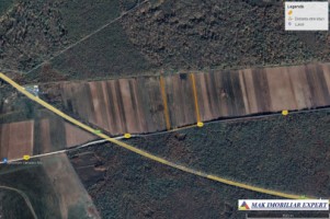 teren-extravilan-1-ha-de-vanzare-in-gaiseni-giurgiu-langa-a1-km-42-ideal-pentru-proiecte-industriale-sau-agricole-1