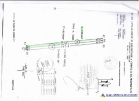 teren-extravilan-1-ha-de-vanzare-in-gaiseni-giurgiu-langa-a1-km-42-ideal-pentru-proiecte-industriale-sau-agricole-7