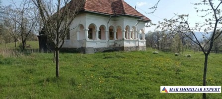 casa-stil-neoromanesc-3-camere-teren-5000-mp-bradetu