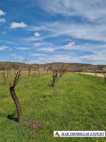 teren-intravilan-4600-mp-de-vanzare-in-darmanesti-arges-potential-rezidential-si-turistic