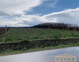 teren-intravilan-4600-mp-curtesti-la-strada-principala-pret-30-euromp-negociabil