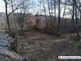teren-intravilan-1800-mp-de-vanzare-in-arefu-transfagarasan-ideal-pentru-constructii-turistice