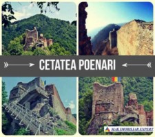 teren-intravilan-1800-mp-de-vanzare-in-arefu-transfagarasan-ideal-pentru-constructii-turistice-4