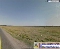 teren-intravilan-5500-mp-de-vanzare-in-clinceni-ilfov-ideal-pentru-dezvoltare-rezidentiala