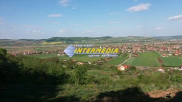 teren-intravilan-de-vanzare-4000-mp-zona-alba-micesti-2