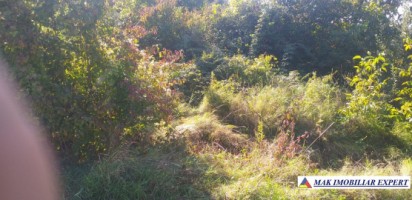 teren-intravilan-1251-mp-mihaesti-arges-ideal-pentru-constructii-rezidentiale-1
