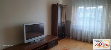 apartament-2-camere-etaj-1-de-inchiriat-1000-ron-0