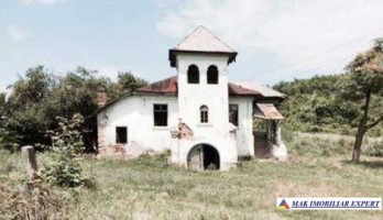 domeniu-viticol-3-ha-cu-conac-boieresc-si-teren-de-25-ha-de-vanzare-in-calinesti-oportunitate-de-investitie-2
