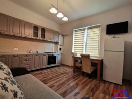 inchiriez-apartament-2-camere-la-casa-renovat-zona-lupeni-2