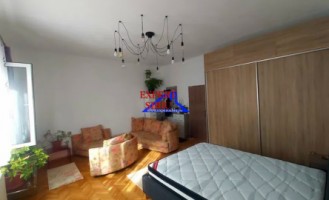 inchiriez-apartament-1-camera-la-casarenovat-zona-parc-sub-arini-1