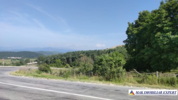 teren-extravilan-de-1-ha-cu-deschidere-de-150-m-plantat-cu-nuci-ideal-pentru-activitati-comerciale-valea-mare-pravat-mateias