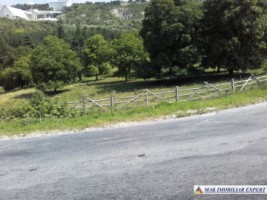 teren-extravilan-de-1-ha-cu-deschidere-de-150-m-plantat-cu-nuci-ideal-pentru-activitati-comerciale-valea-mare-pravat-mateias-3