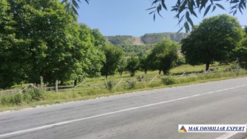 teren-extravilan-de-1-ha-cu-deschidere-de-150-m-plantat-cu-nuci-ideal-pentru-activitati-comerciale-valea-mare-pravat-mateias-2