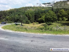teren-extravilan-de-1-ha-cu-deschidere-de-150-m-plantat-cu-nuci-ideal-pentru-activitati-comerciale-valea-mare-pravat-mateias-4