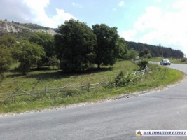 teren-extravilan-de-1-ha-cu-deschidere-de-150-m-plantat-cu-nuci-ideal-pentru-activitati-comerciale-valea-mare-pravat-mateias-5
