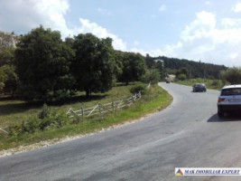 teren-extravilan-de-1-ha-cu-deschidere-de-150-m-plantat-cu-nuci-ideal-pentru-activitati-comerciale-valea-mare-pravat-mateias-6