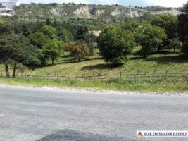 teren-extravilan-de-1-ha-cu-deschidere-de-150-m-plantat-cu-nuci-ideal-pentru-activitati-comerciale-valea-mare-pravat-mateias-7