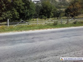 teren-extravilan-de-1-ha-cu-deschidere-de-150-m-plantat-cu-nuci-ideal-pentru-activitati-comerciale-valea-mare-pravat-mateias-8