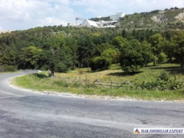 teren-extravilan-de-1-ha-cu-deschidere-de-150-m-plantat-cu-nuci-ideal-pentru-activitati-comerciale-valea-mare-pravat-mateias-9