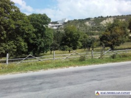 teren-extravilan-de-1-ha-cu-deschidere-de-150-m-plantat-cu-nuci-ideal-pentru-activitati-comerciale-valea-mare-pravat-mateias-10