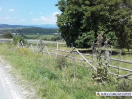 teren-extravilan-de-1-ha-cu-deschidere-de-150-m-plantat-cu-nuci-ideal-pentru-activitati-comerciale-valea-mare-pravat-mateias-11