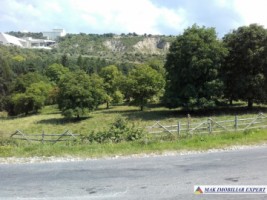 teren-extravilan-de-1-ha-cu-deschidere-de-150-m-plantat-cu-nuci-ideal-pentru-activitati-comerciale-valea-mare-pravat-mateias-13