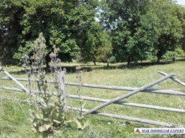 teren-extravilan-de-1-ha-cu-deschidere-de-150-m-plantat-cu-nuci-ideal-pentru-activitati-comerciale-valea-mare-pravat-mateias-14