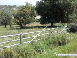 teren-extravilan-de-1-ha-cu-deschidere-de-150-m-plantat-cu-nuci-ideal-pentru-activitati-comerciale-valea-mare-pravat-mateias-15