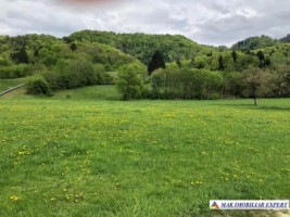 teren-133-ha-intraextravilan-de-vanzare-in-rasnov-brasov-ideal-pentru-constructii-rezidentiale-sau-turistice