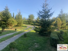 vila-exclusivista-5-camere-teren-2000-mp-campulung-275000-euro-3