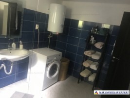 vand-vila-4-camere-cu-teren-4400-mp-in-vladesti-arges-19