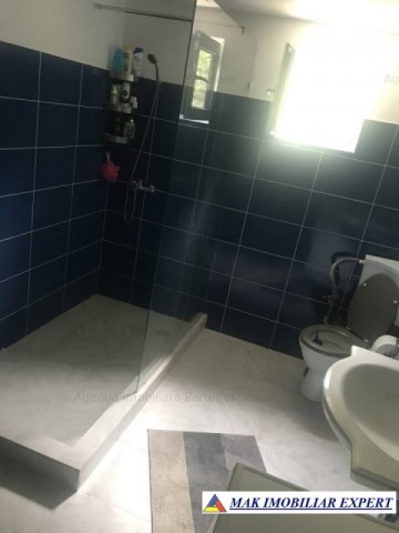 vand-vila-4-camere-cu-teren-4400-mp-in-vladesti-arges-20