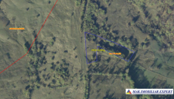 teren-extravilan-4141-mp-de-vanzare-in-bughea-de-sus-arges-ideal-pentru-activitati-agricole