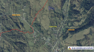 teren-extravilan-4141-mp-de-vanzare-in-bughea-de-sus-arges-ideal-pentru-activitati-agricole-1