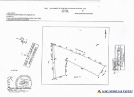 teren-extravilan-4141-mp-de-vanzare-in-bughea-de-sus-arges-ideal-pentru-activitati-agricole-3