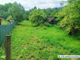 teren-de-1108-mp-cu-casa-batraneasca-intravilan-de-vanzare-in-bradulet-arges-ideal-pentru-renovare-sau-proiect-rezidential
