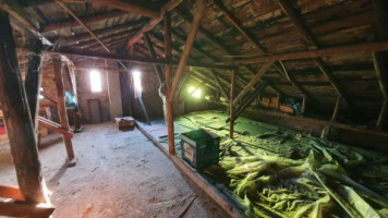 blejoi-casa-pm-teren-970mp-la-110000-euro-17