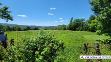 teren-intravilan-172-ha-poienarii-de-muscel-arges-ideal-pentru-dezvoltari-rezidentiale-sau-proiecte-ample-1