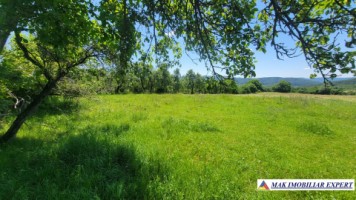 teren-intravilan-172-ha-poienarii-de-muscel-arges-ideal-pentru-dezvoltari-rezidentiale-sau-proiecte-ample-3