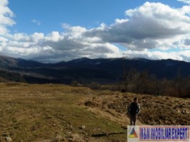 vand-teren-3-ha-intravilan-in-nucsoara-arges-1