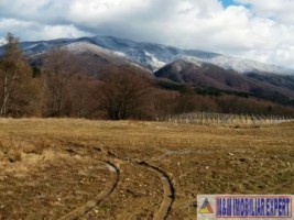 vand-teren-3-ha-intravilan-in-nucsoara-arges-2