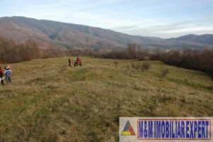 vand-teren-3-ha-intravilan-in-nucsoara-arges-4