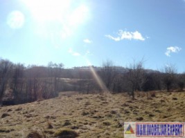 vand-teren-3-ha-intravilan-in-nucsoara-arges-7