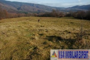 vand-teren-3-ha-intravilan-in-nucsoara-arges-5