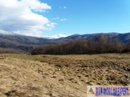 vand-teren-3-ha-intravilan-in-nucsoara-arges-9